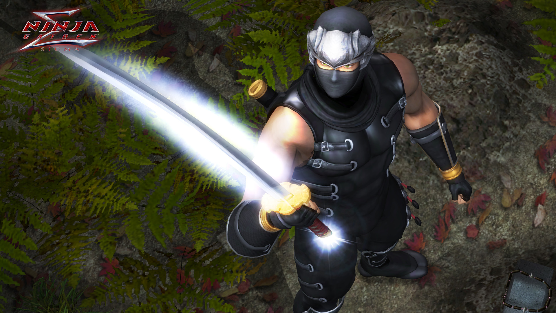 《忍者龙剑传：大师合集/NINJA GAIDEN: Master Collection》PC中文版下载-含v1.0.0.3-卿云社
