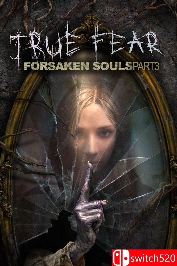 《真实恐惧：被遗弃的灵魂3（True Fear: Forsaken Souls P3）》v1.0.14 [中文/英文]-卿云社