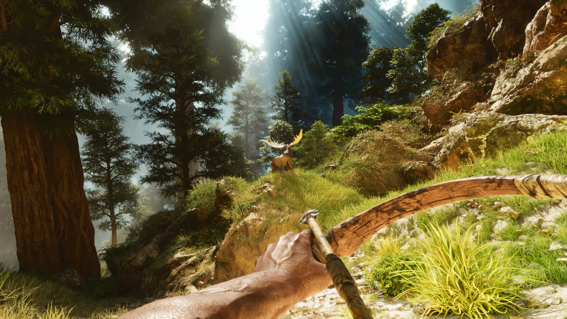 PC游戏《方舟: 生存飞升/ARK: Survival Ascended》中文v77.54下载-卿云社