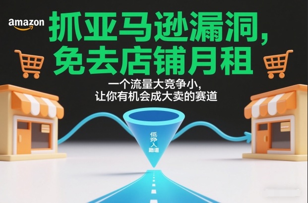 抓亚马逊漏洞，免去店铺月租，一个流量大竞争小，让你有机会成大卖的赛道-卿云社