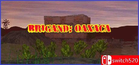《盗团：瓦哈卡（Brigand: Oaxaca）》v17.6 [英文]-卿云社
