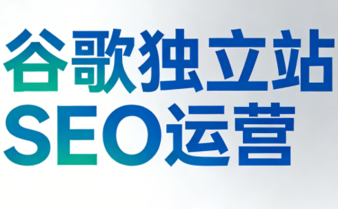 谷歌独立站SEO运营(更新2026)-卿云社