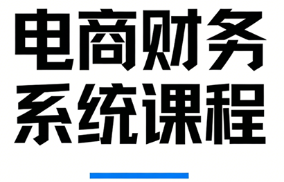 郑老师·电商财务系统课程-卿云社