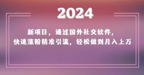 2024新项目，通过国外社交软件，快速涨粉精准引流，轻松做到月入上万【揭秘】-卿云社