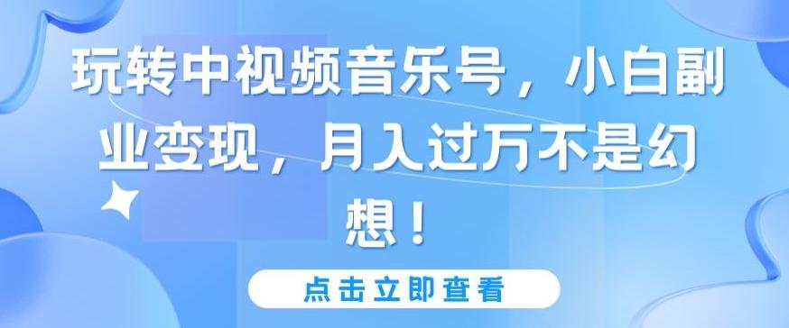 玩转中视频音乐号，小白副业变现，月入过万不是幻想【揭秘】-卿云社