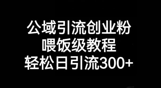 公域引流创业粉，喂饭级教程，轻松日引流300+【揭秘】-卿云社