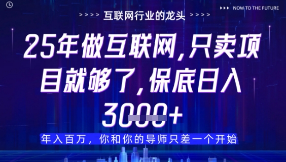 什么！25年你还在找项目做？风口早就变了，卖项目才是稳挣不赔【揭秘】-卿云社