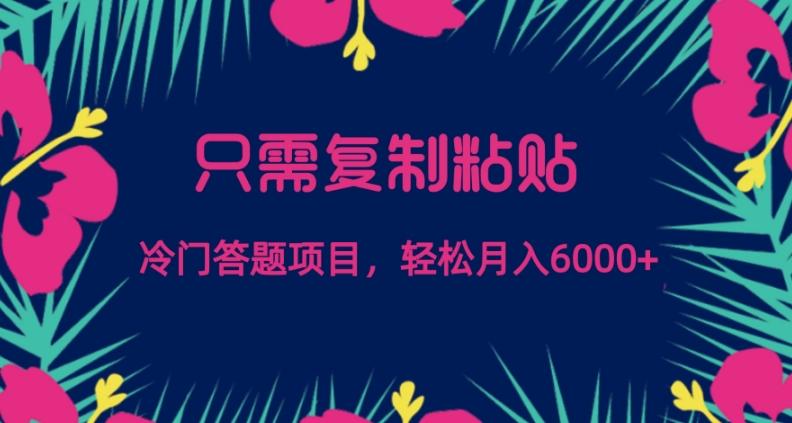 只需复制粘贴，冷门答题项目，轻松月入6000-卿云社