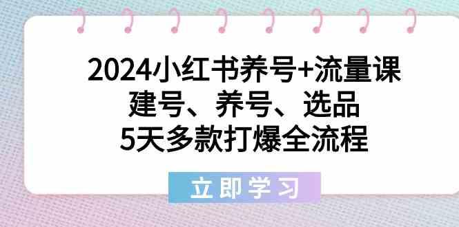 2024小红书养号+流量课：建号、养号、选品，5天多款打爆全流程-卿云社