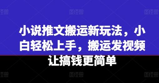 小说推文搬运新玩法，小白轻松上手，搬运发视频让搞钱更简单-卿云社