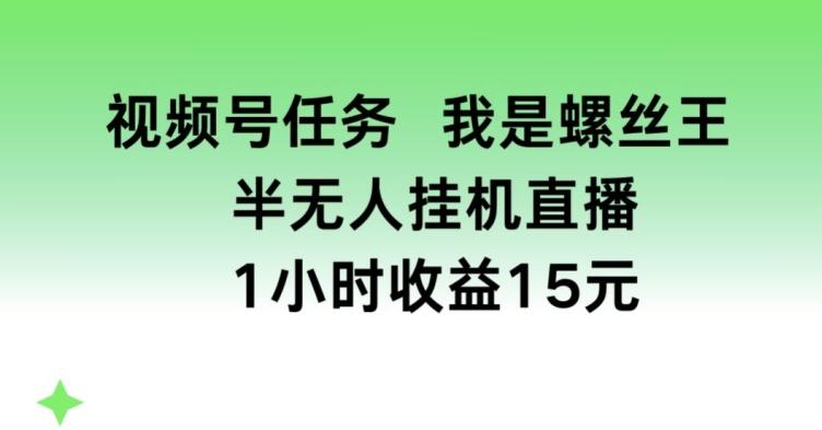 视频号任务，我是螺丝王， 半无人挂机1小时收益15元【揭秘】-卿云社