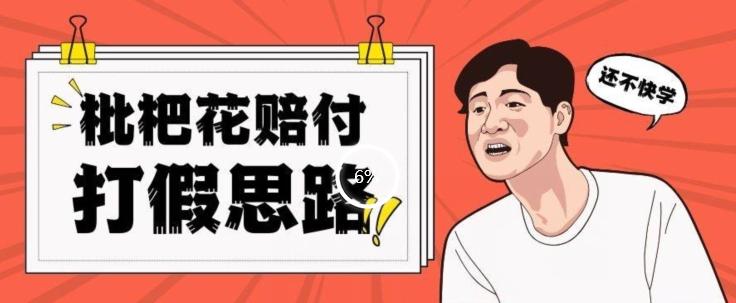 最新打假原料枇杷花赔付玩法一单收益1000+小白轻松下车【详细视频玩法教程】【仅揭秘】-小艾项目网