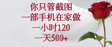 你只管截图，一部手机在家做，苹果安卓都可以，一小时120，一天5张+【揭秘】-卿云社