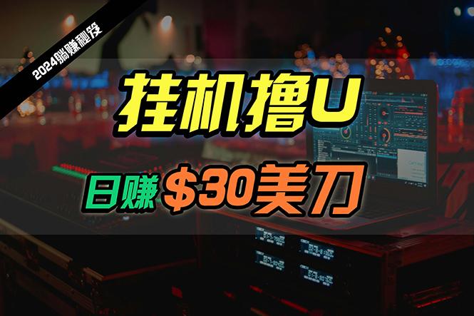 (10013期)日赚30美刀，2024最新海外挂机撸U内部项目，全程无人值守，可批量放大-卿云社