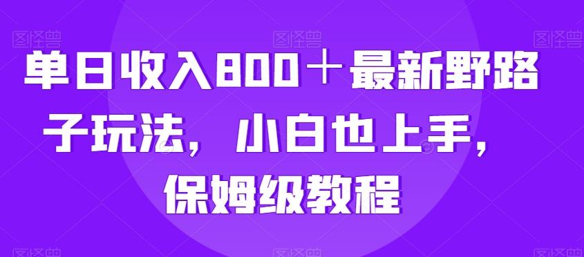 单日收入800＋最新野路子玩法，小白也上手，保姆级教程-卿云社