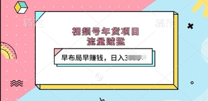 视频号年货项目，流量贼猛，早布局早挣钱，日入上k【揭秘】-卿云社
