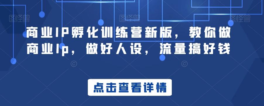 商业IP孵化训练营新版，教你做商业Ip，做好人设，流量搞好钱-卿云社