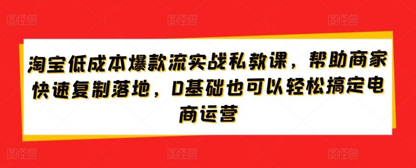 淘宝低成本爆款流实战私教课，帮助商家快速复制落地，0基础也可以轻松搞定电商运营-卿云社