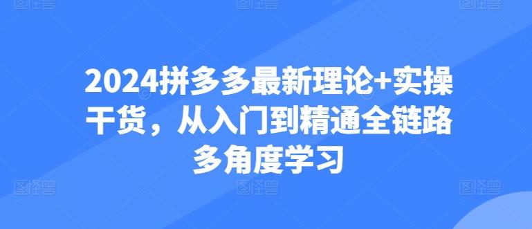 2024拼多多最新理论+实操干货，从入门到精通全链路多角度学习-卿云社