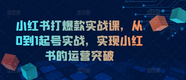 小红书打爆款实战课，从0到1起号实战，实现小红书的运营突破-卿云社