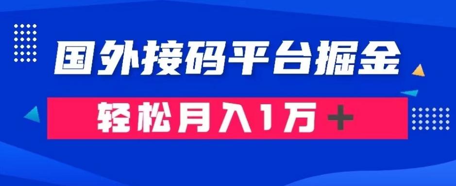 通过国外接码平台掘金：成本1.3，利润10＋，轻松月入1万＋【揭秘】-卿云社