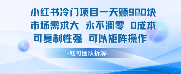 小红书冷门项目一天收益9张，市场需求大，0成本，可复制性强可以矩阵操作-卿云社