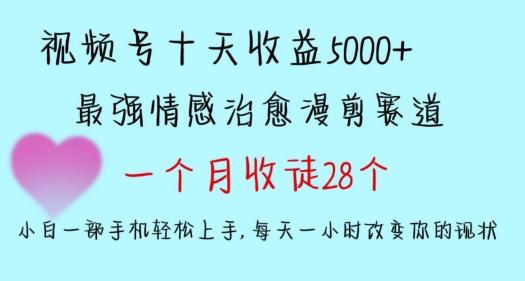 十天收益5000+，多平台捞金，视频号情感治愈漫剪，一个月收徒28个，小白一部手机轻松上手【揭秘】-卿云社