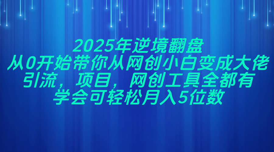 2025年逆境翻盘，从0开始带你从网创小白变成大佬，引流，项目，网创工...-卿云社