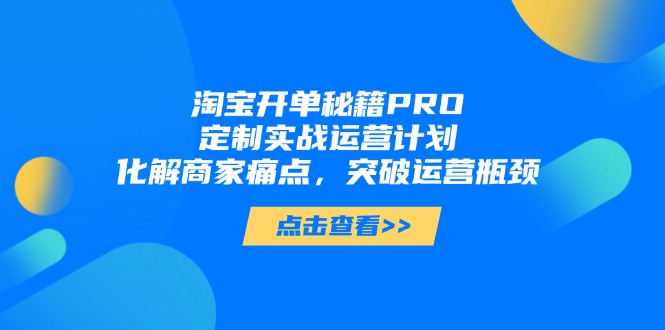 淘宝开单秘籍PRO，定制实战运营计划，化解商家痛点，突破运营瓶颈-卿云社