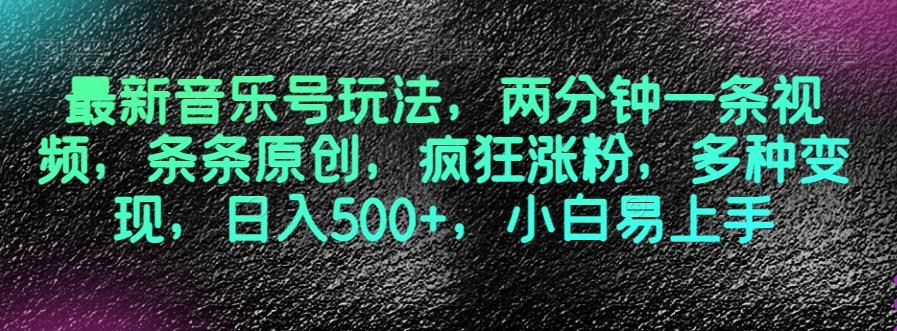 最新音乐号玩法，两分钟一条视频，条条原创，疯狂涨粉，多种变现，日入500+，小白易上手【揭秘】-卿云社