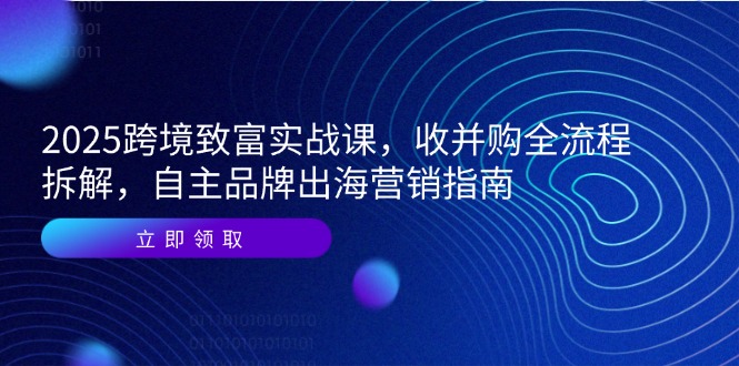 2025跨境致富实战课，收并购全流程拆解，自主品牌出海营销指南-卿云社