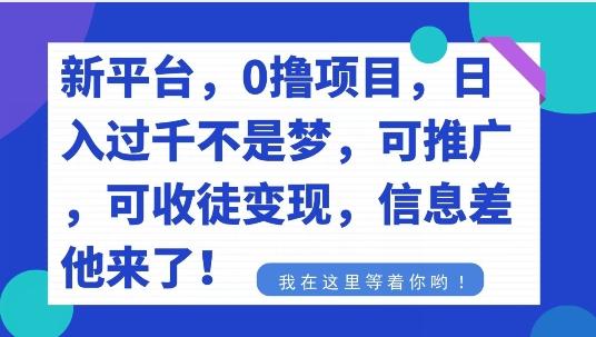 不要再花冤枉钱了，0撸项目，每天坚持，稳定1000+-卿云社