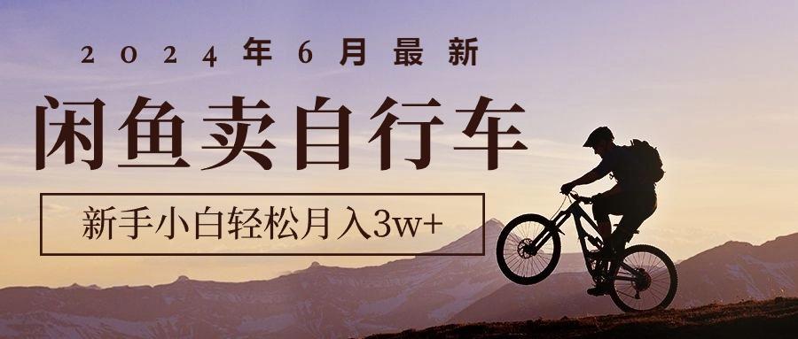 2024年6月最新闲鱼卖自行车，新手小白轻松月入3w+项目-卿云社
