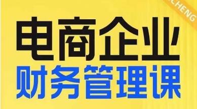 电商企业财务管理线上课，为电商企业规划财税-卿云社