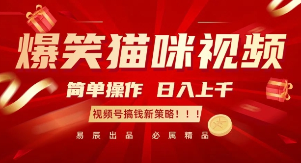 爆笑猫咪视频：简单操作，日入过K，视频号搞钱新策略【揭秘】-卿云社