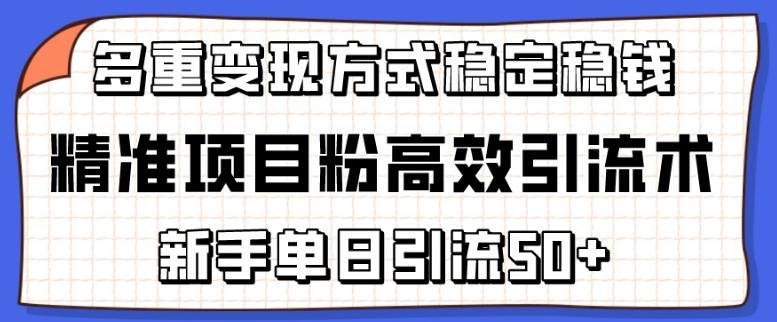 精准项目粉高效引流术，新手单日引流50+，多重变现方式稳定赚钱【揭秘】-卿云社