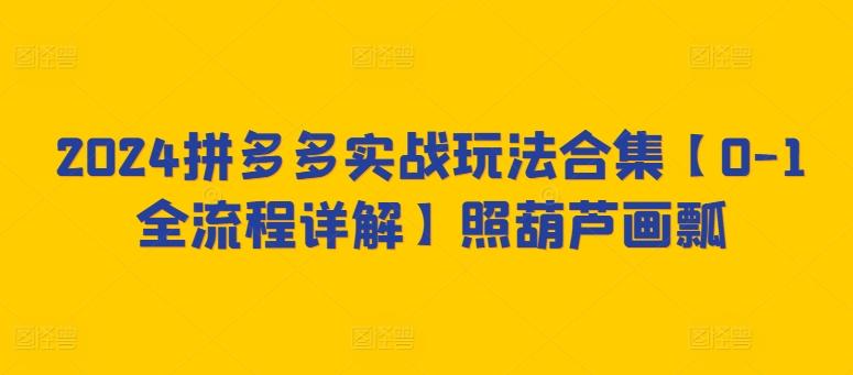 2024拼多多实战玩法合集【0-1全流程详解】照葫芦画瓢-卿云社