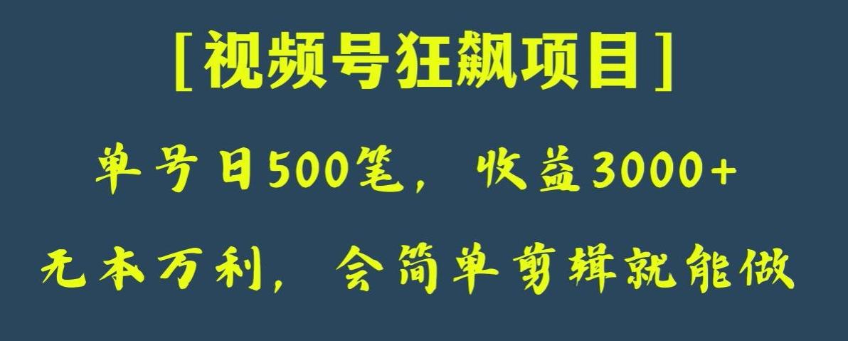 日收款500笔，纯利润3000+，视频号狂飙项目，会简单剪辑就能做【揭秘】-卿云社