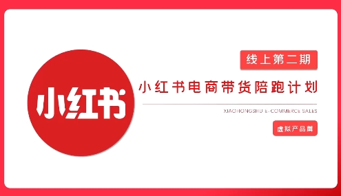 2025小红书虚拟电商实战课，从0到1打造无货源店铺，AI+爆款笔记轻松变现-卿云社