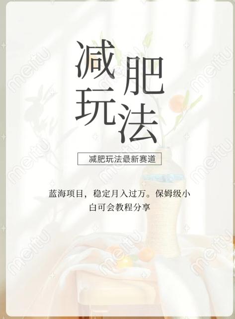 减肥流量主新玩法，轻松月入1W，可矩阵操作收入翻倍-卿云社