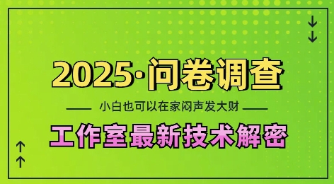 2025问卷调查最新工作室技术解密：一个人在家也可以闷声发大财，小白一天2张，可矩阵放大【揭秘】-卿云社