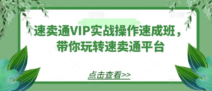 速卖通VIP实战操作速成班，带你玩转速卖通平台-卿云社