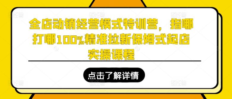 全店动销经营模式特训营，指哪打哪100%精准拉新保姆式起店实操课程-卿云社