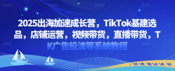 2025出海加速成长营，TikTok基建选品，店铺运营，视频带货，直播带货，TK广告投流等系统教程-小艾项目网
