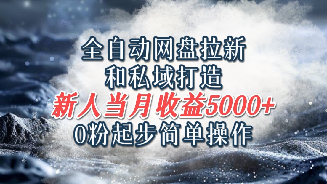 全自动网盘拉新和私域打造，0粉起步简单操作，新人入门当月收益5000以上-卿云社