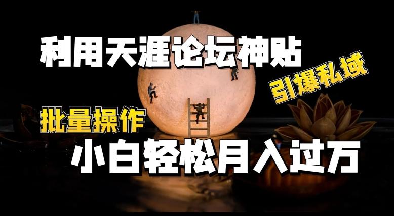 利用天涯论坛神贴，引爆私域，批量操作，小白轻松月入过w【揭秘】-卿云社