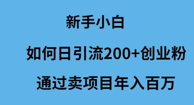 (9668期)新手小白如何日引流200+创业粉通过卖项目年入百万-卿云社