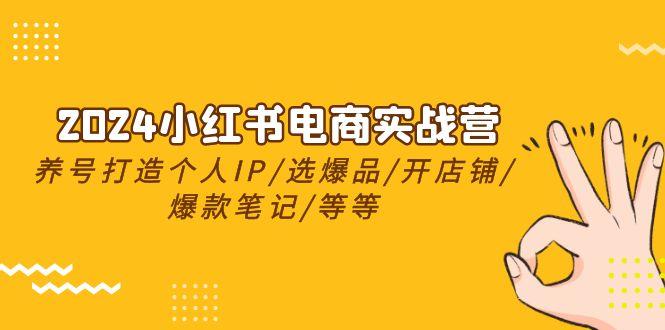 2024小红书电商实战营，养号打造IP/选爆品/开店铺/爆款笔记/等等(24节)-卿云社