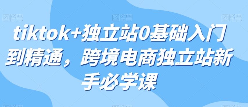 tiktok+独立站0基础入门到精通，跨境电商独立站新手必学课-卿云社
