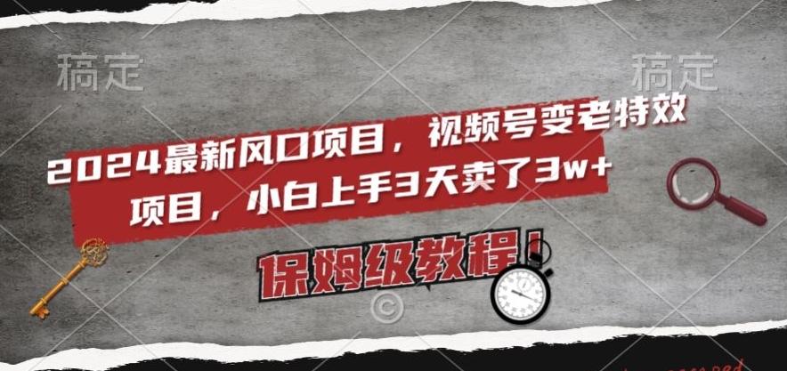 2024最新风口项目，视频号变老特效项目，电脑小白上手3天卖了3w+，保姆级教程【揭秘】-卿云社